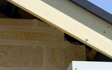 soffit repair Freefolk