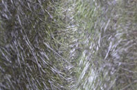 Freefolk fibreglass roof work